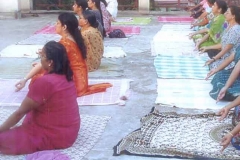 galleryonlinesahaya11